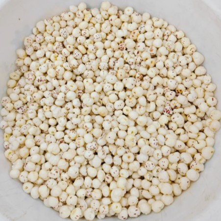 6 Suta / 6 Plus Extra Large Premium Makhana